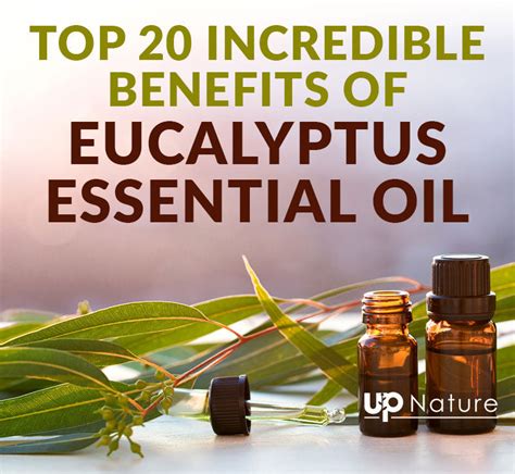 eucalyptus oil benefits